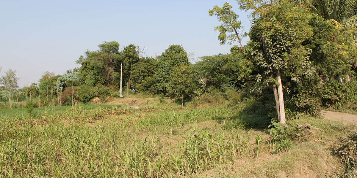 Monument Image