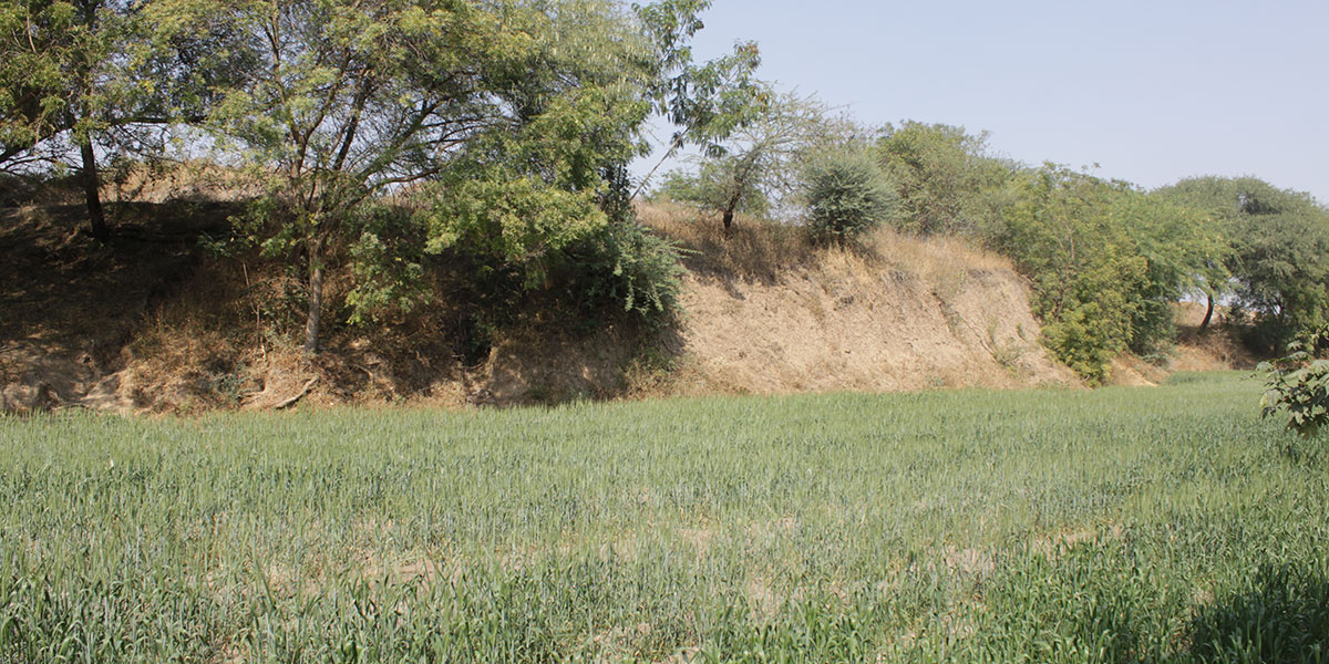 Archaeological site and remains