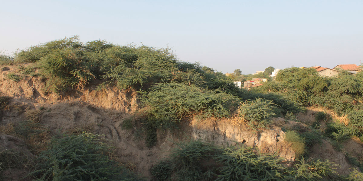 Ancient site and remains (Prakash) 