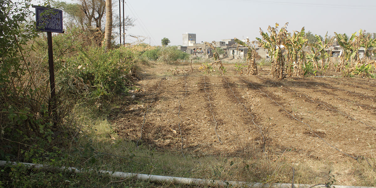 Ancient site and remains