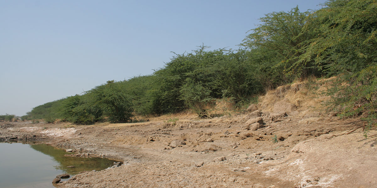 Ancient site & Remains at Daimabad  