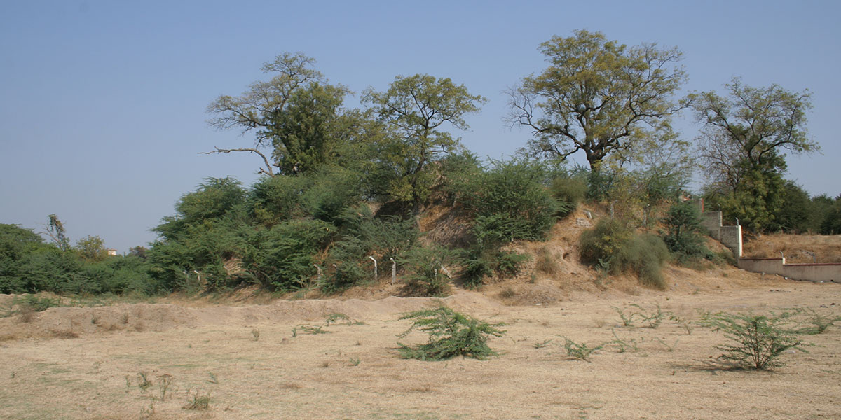 Monument Image